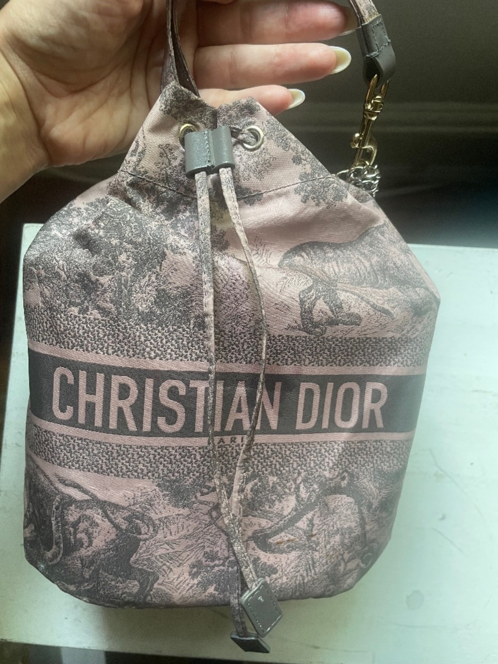 Dior travel pouch